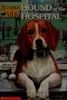 Hound at the hospital