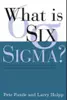 What is six sigma?