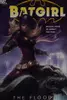 Batgirl, Volume 2: The Flood