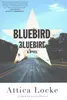 Bluebird, Bluebird