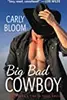 Big Bad Cowboy