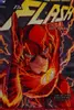 The Flash, Vol. 1: Move Forward