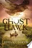 Ghost Hawk