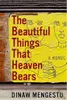 The Beautiful Things That Heaven Bears