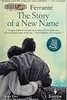 The Story of a New Name: Book Two of The The Neapolitan Novels