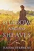 Shadow Among Sheaves