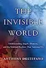 The Invisible World: Understanding Angels, Demons, and the Spiritual Realities That Surround Us