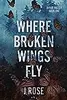 Where Broken Wings Fly