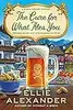 The Cure for What Ales You: A Sloan Krause Mystery
