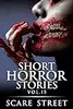Short Horror Stories, Vol. 15
