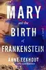 Mary and the Birth of Frankenstein