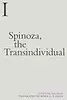 Spinoza, the Transindividual