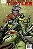 Teenage Mutant Ninja Turtles #2