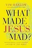 What Made Jesus Mad?: Rediscover the Blunt, Sarcastic, Passionate Savior of the Bible