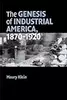 The Genesis of Industrial America, 1870–1920