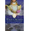 The Wild Orchid