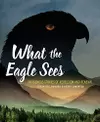 What the Eagle Sees