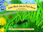 Little Black Ant on Park Street