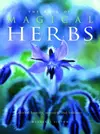 The Book of Magical Herbs