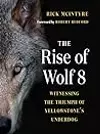 The Rise of Wolf 8: Witnessing the Triumph of Yellowstone's Underdog