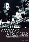 A Wizard a True Star: Todd Rundgren in the studio