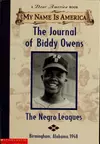 The Journal of Biddy Owens