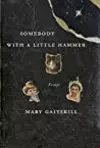 Somebody with a Little Hammer: Essays