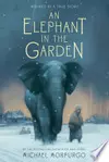 An elephant in the garden