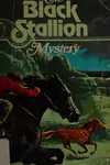The black stallion mystery