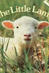 The little lamb