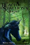 The black stallion's ghost
