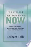 Practicing the Power of Now