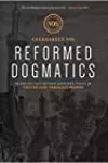 Reformed Dogmatics: Theology Proper