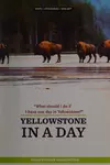 What Should I Do If I Have One Day in Yellowstone?