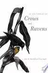 In the Company of Crows and Ravens
