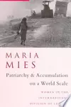 Patriarchy and Accumulation On A World Scale