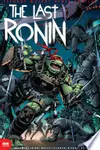 Teenage Mutant Ninja Turtles: The Last Ronin #2