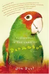 Elsewhere in the Land of Parrots: A Novel