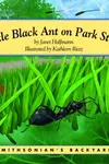 Little Black Ant on Park Street