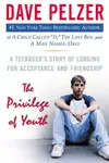 The Privilege of Youth: A Teenager's Story