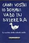 Cazzi vostri io domani vado in Svizzera: le scritte delle schede nulle