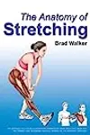The Anatomy of Stretching