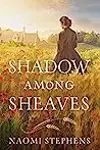 Shadow Among Sheaves