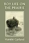 Boy Life on the Prairie
