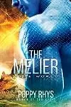 The Melier: Home World