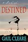 Destined: a novel of the Tarot