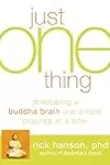 Just One Thing: Developing a Buddha Brain One Simple Practice at a Time