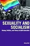 Sexuality and Socialism: History, Politics, and Theory of LGBT Liberation by Sherry Wolf, Haymarket Books