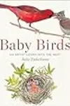 Baby Birds: An Artist Looks into the Nest