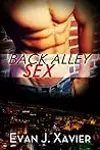 Back Alley Sex